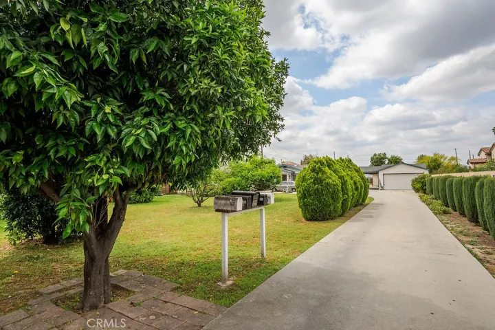 Long Driveway