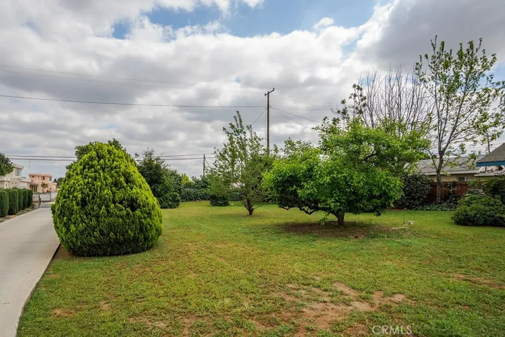 Large Lot