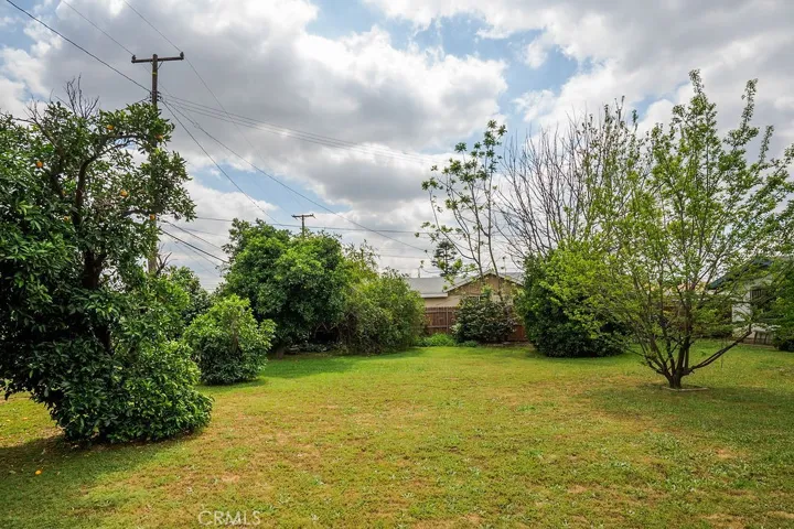 Large Lot