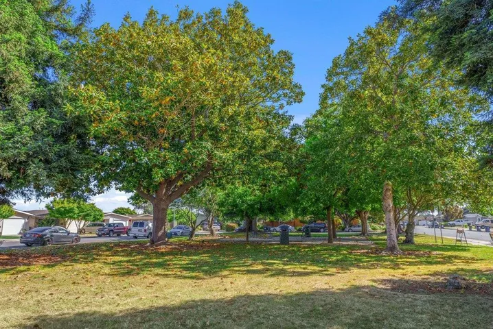 517 Tuttle Avenue, Watsonville, California 95076
