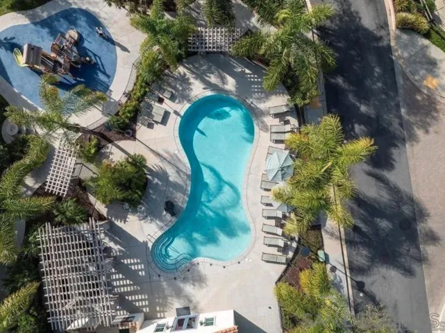 Oasis style pool with lush landscaping