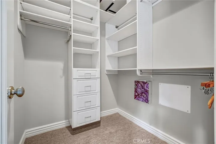 Primary Walk-in Closet w/ Built-in Organizer