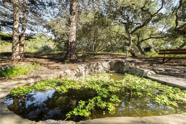 pond