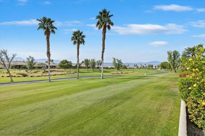 55-Back Property View