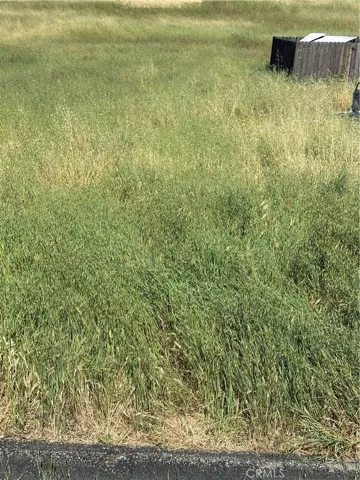 4813 Tumbleweed