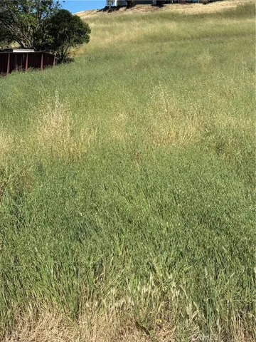 4813 Tumbleweed