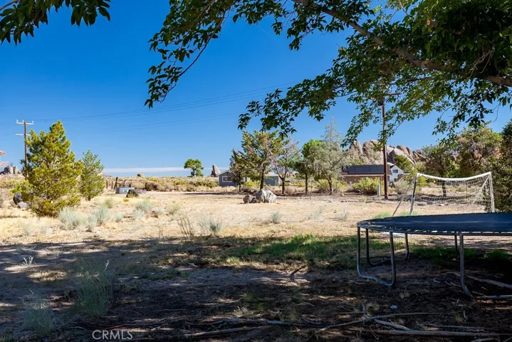 Back Yard.