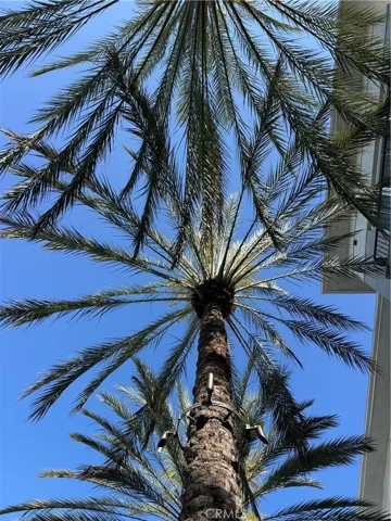 Looking up from your balcony
