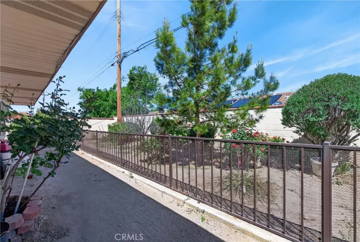 rear yard