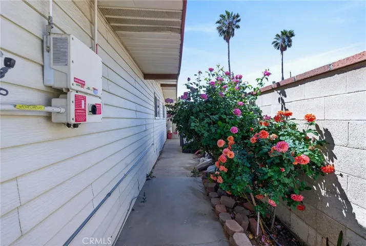 rear yard