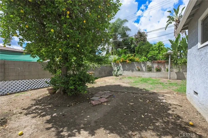 Lemon Tree