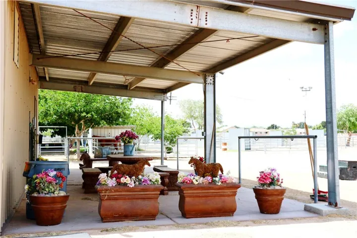 Equestrian Area
