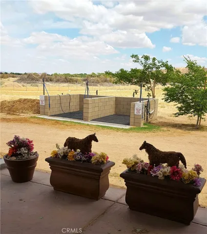 Equestrian Wash Pens