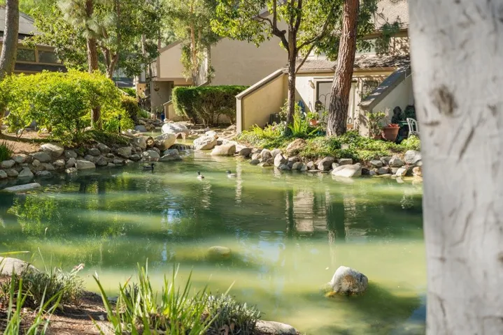 Hidden Lakes HOA