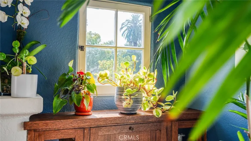 270 Clinton, Pasadena, California 91103