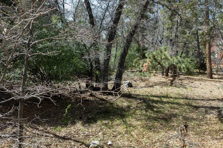Lot25