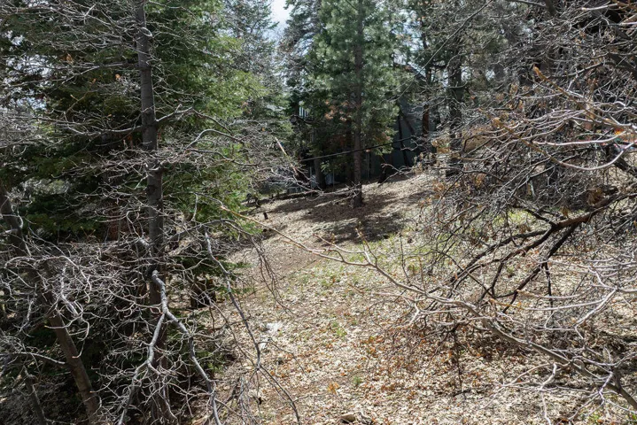 Lot26