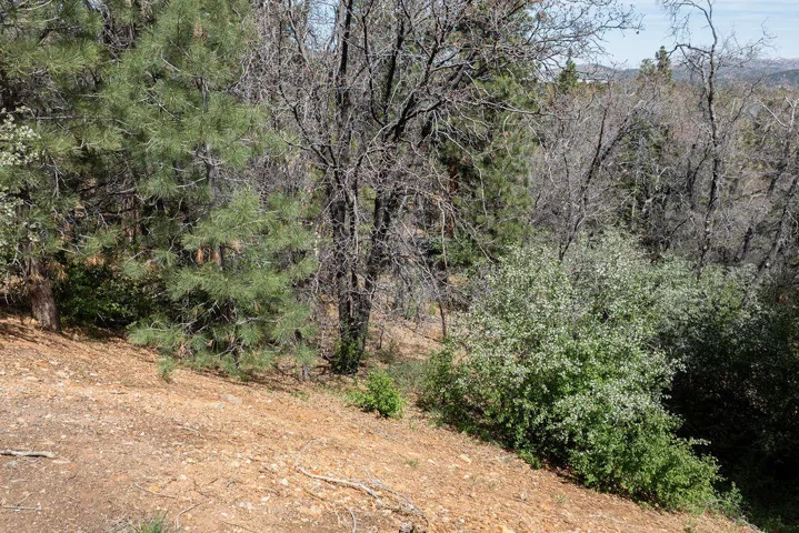 Lot21
