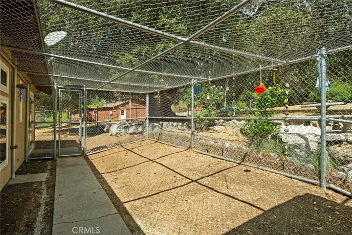 Fenced in dog run