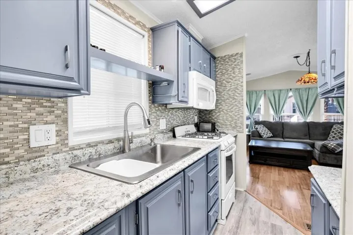 51-LOT 307 (22)