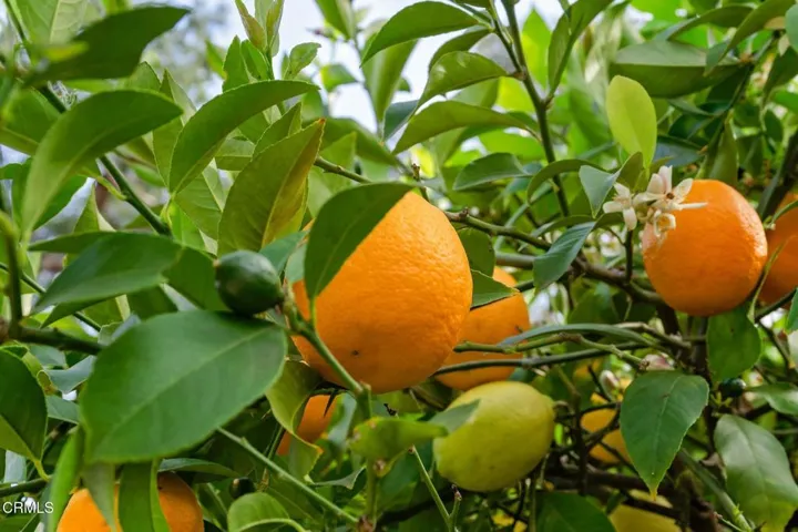 31 11993_MacDonald_Dr-86