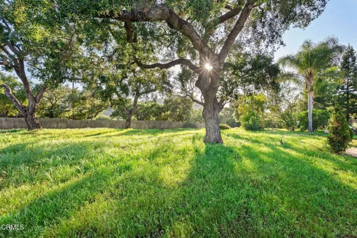 26 11993_MacDonald_Dr-95