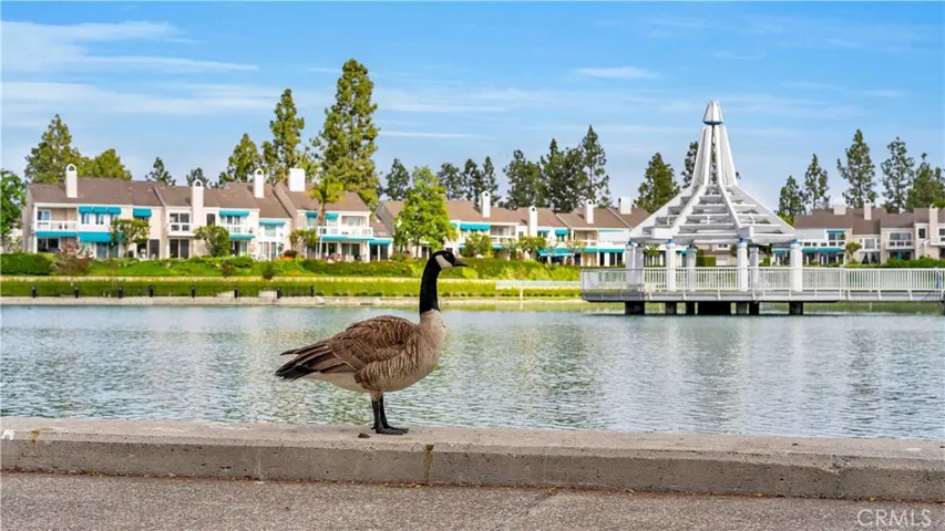 65 Pinewood 33, Irvine, California 92604