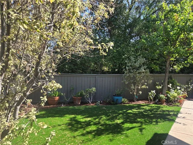 Gorgeous back yard
