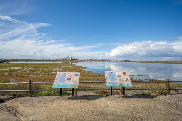Wetlands – take in the grounds on a sunny afternoon.