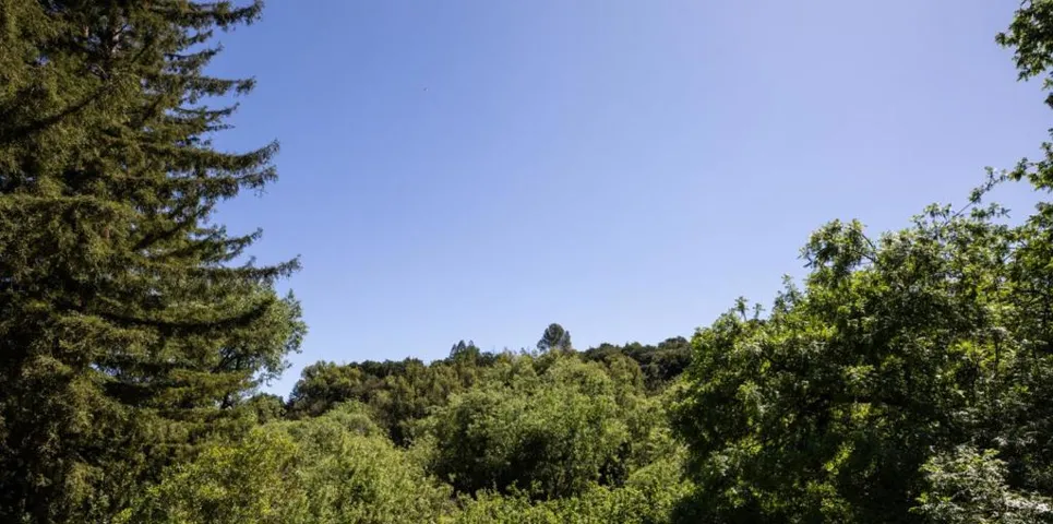 25550 Moody Road, Los Altos Hills, California 94022