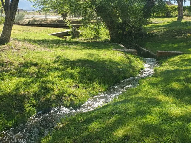 Creek on North Side