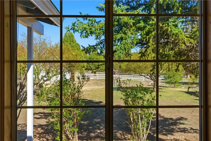 Double pane window looks out to beautiful large backyard, with trees, and greenery