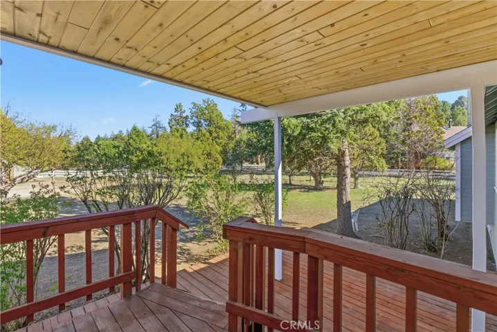 Backyard porch, lots of trees and greenery