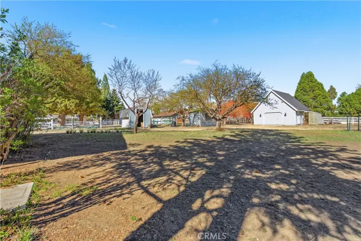 Large backyard, with 2nd garage, shed and chicken coop