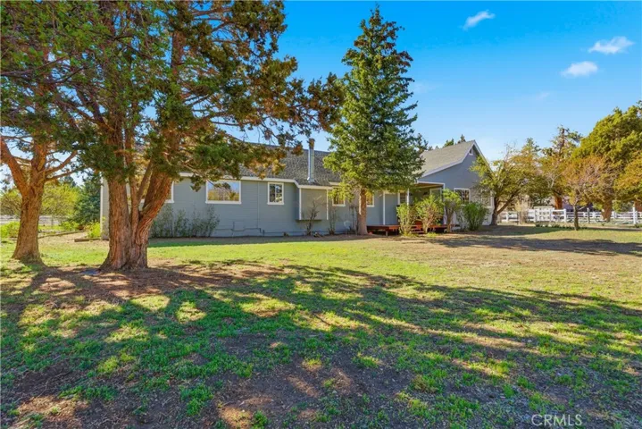 Backyard trees provide shaded areas