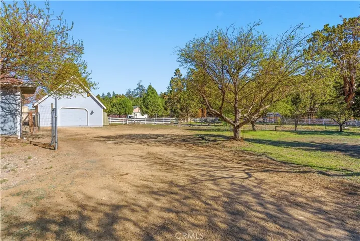 Beautiful backyard with lots of room for toys and parking. 2nd garage too!