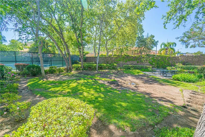 Tennis and BBQ areas