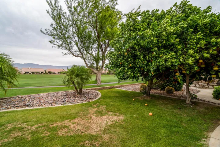 030_78202-kensington_FNA4203-Edit[1]