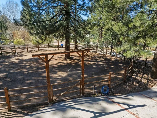Mature tree inside the round pen for tying