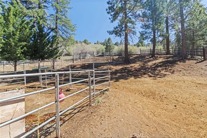 Showing fencing of the horse property