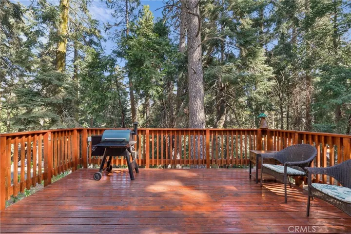 Deck from Kitchen/Livingroom Entrance