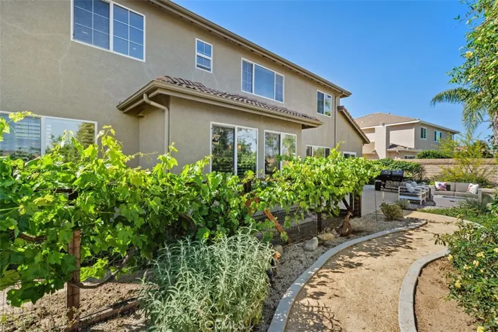 Grape vines, garden and walking path