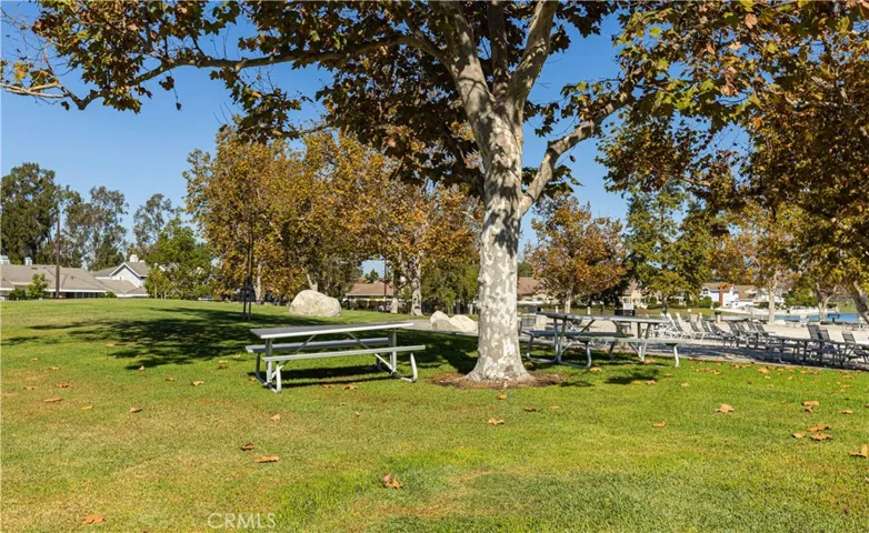 446 Fallingstar, Irvine, California 92614