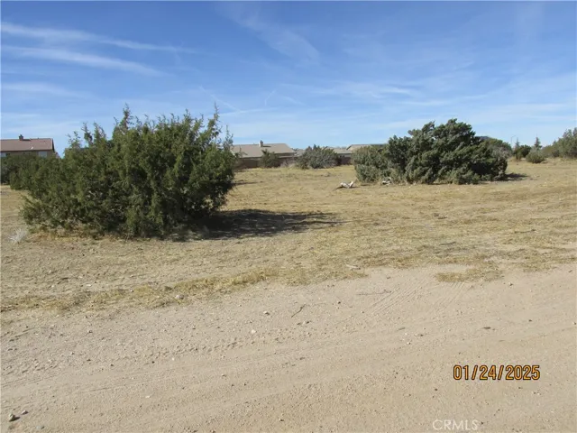 IN STREET IN FRONT OF PRO[ERTY
