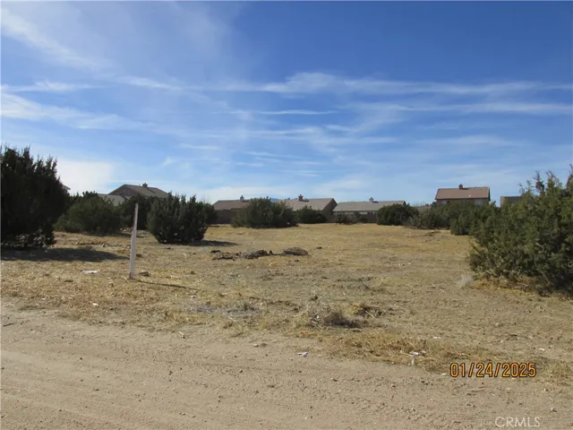 BLOCK WALL ON BACK SIDE OF PROPERTY IN FROM OF HOMES.