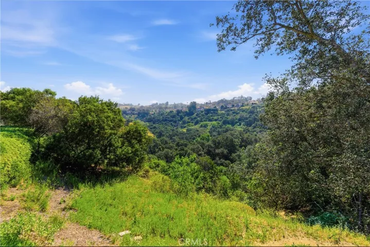 6560 E Circulo Dali, Anaheim Hills, California 92807