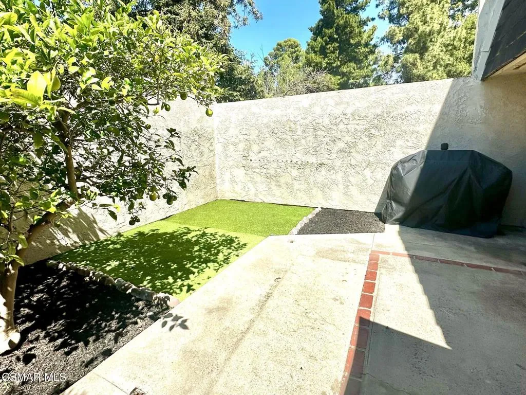 rear patio picture