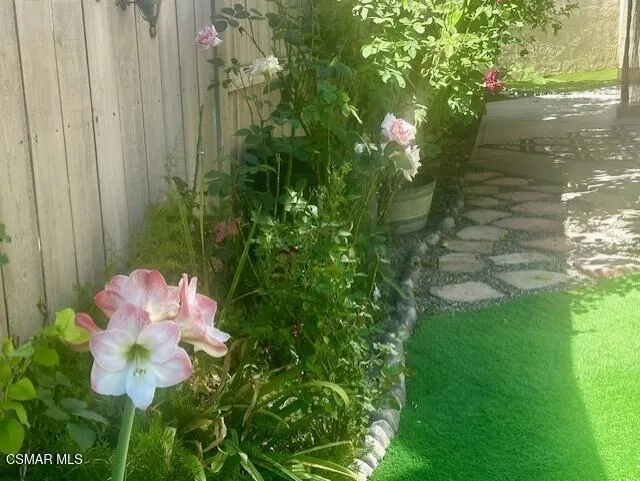 side yard picture