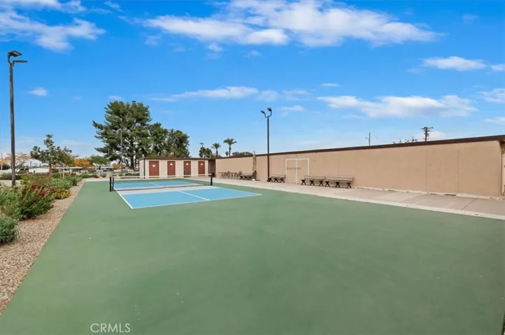 Pickleball Court