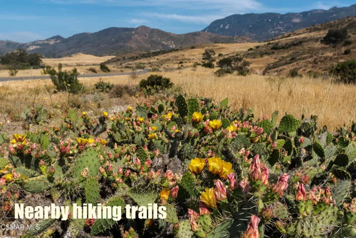 26947582511_c34e6fe6b4_o copy